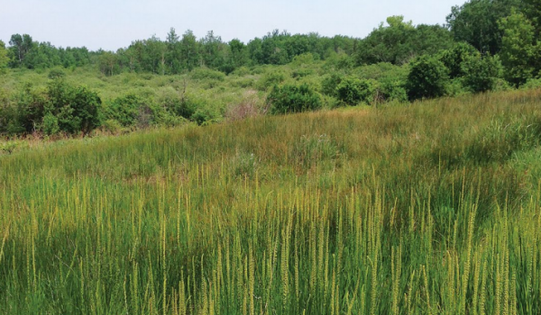 Legal Battles | Minnesota Center for Environmental Advocacy